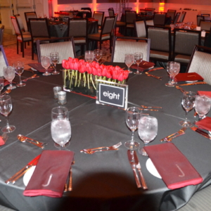 Black &amp; Red themed bar mitzvah.  An RSG Events production. Toronto