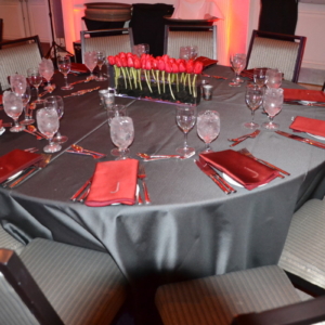 Grey &amp; Red themed bar mitzvah.  An RSG Events production. Toronto