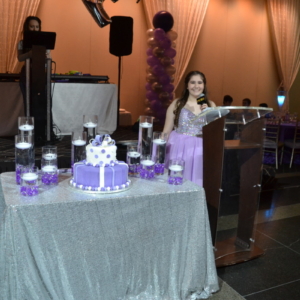 Bat Mitzvah by RSG Events