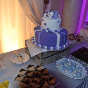 Bat Mitzvah by RSG Events