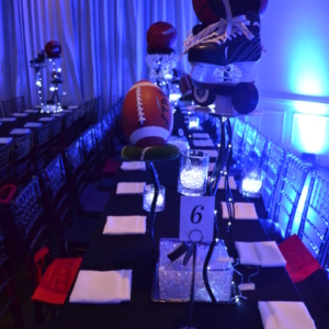 Bar Mitzvah; Bat Mitzvah; Toronto Party Planner; Toronto Wedding Planner; Toronto Event Planner; RSG Events; Celebrate; Party; Sports; Simchas; Events;