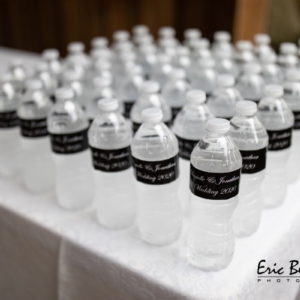 wedding planner; party planner; event planner; bat mitzvah; bar mitzvah; celebration; simchas; parties; celebrate; photography; food; dine; party; married; chappel; shul; synagogue, toronto