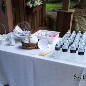 wedding planner; party planner; event planner; bat mitzvah; bar mitzvah; celebration; simchas; parties; celebrate; photography; food; dine; party; married; chappel; shul; synagogue, toronto