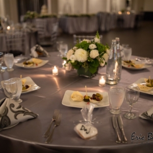 wedding planner; party planner; event planner; bat mitzvah; bar mitzvah; celebration; simchas; parties; celebrate; photography; food; dine; party; married; chappel; shul; synagogue, toronto