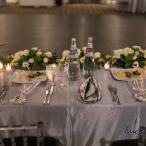 wedding planner; party planner; event planner; bat mitzvah; bar mitzvah; celebration; simchas; parties; celebrate; photography; food; dine; party; married; chappel; shul; synagogue, toronto