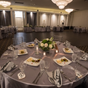 wedding planner; party planner; event planner; bat mitzvah; bar mitzvah; celebration; simchas; parties; celebrate; photography; food; dine; party; married; chappel; shul; synagogue, toronto